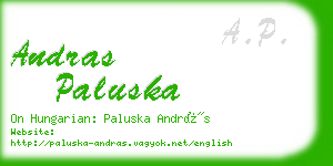 andras paluska business card